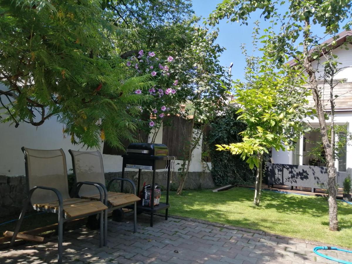 Casa Scheiana *