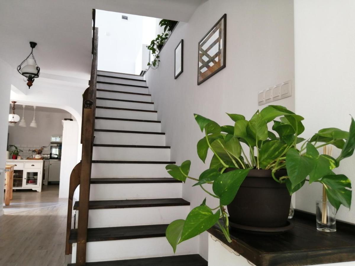 Casa Scheiana Bed & Breakfast Brasov