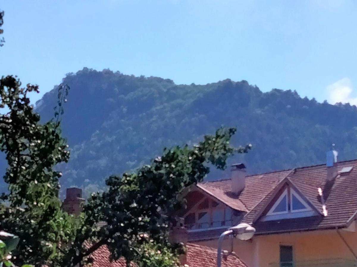 Casa Scheiana *