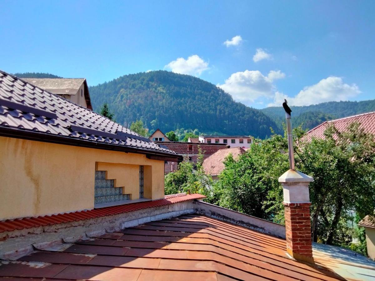 Casa Scheiana Bed & Breakfast Brasov