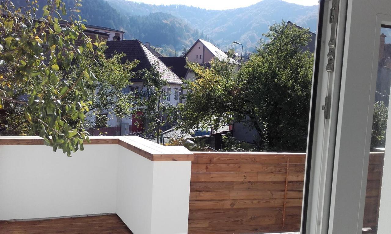 Casa Scheiana Bed & Breakfast Brasov